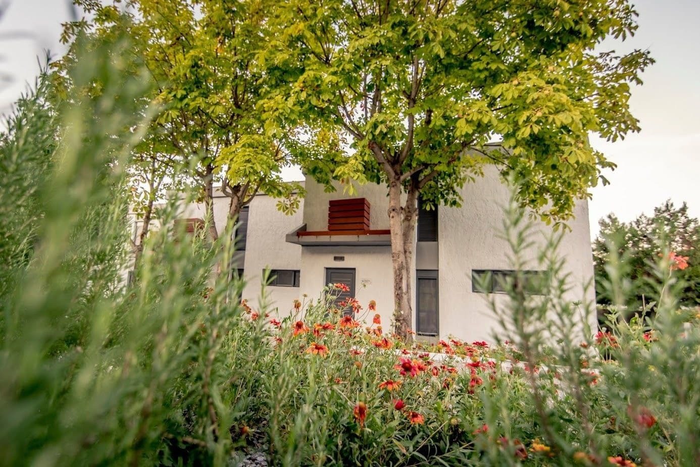 Pleiades Boutique Villas Kriopigi Ngoại thất bức ảnh